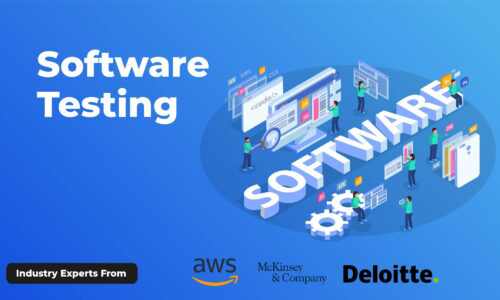 Software Testing Training Course in Pitampura