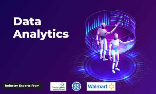 Data Analytics Training Course in Delhi